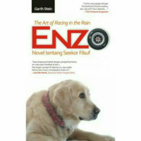 Image of ENZO; The Art of Racing in the Rain